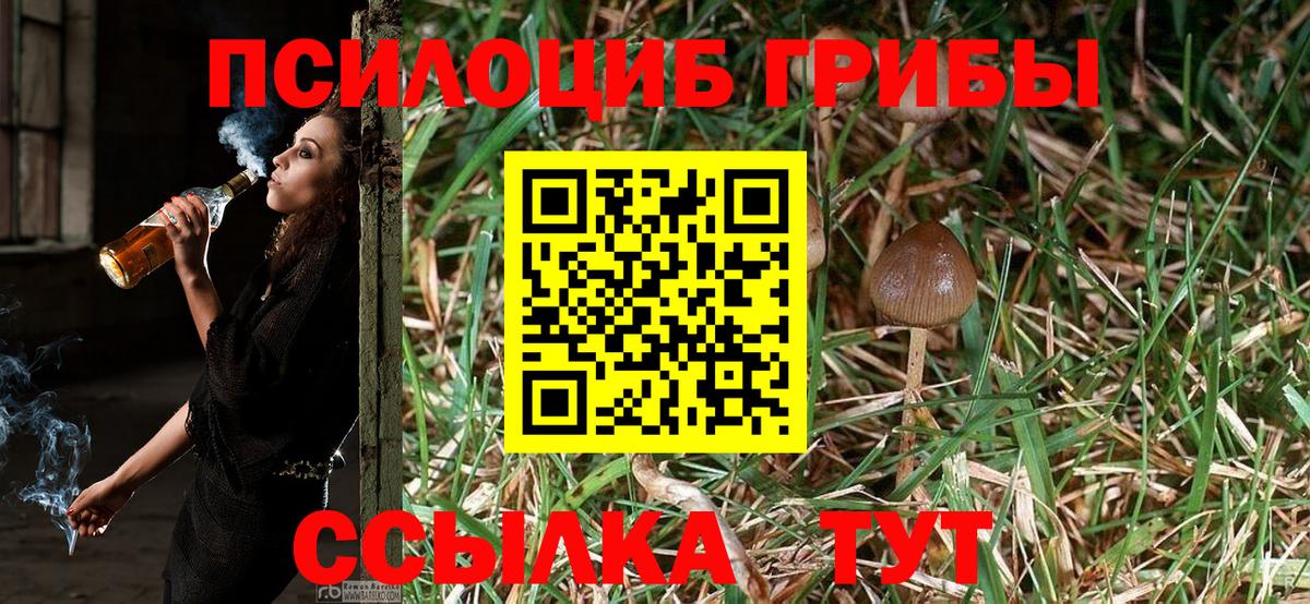 Псилоцибиновые грибы Cubensis  Галлюциногенные грибы Magic Shrooms  Тамбов  Вход с VPN 