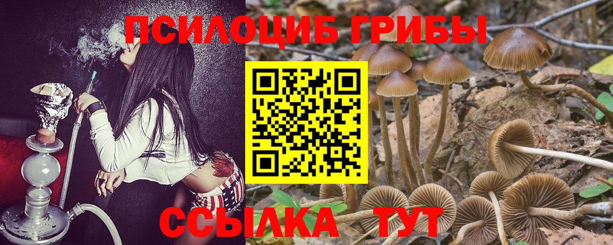 Псилоцибиновые грибы мухоморы Тамбов